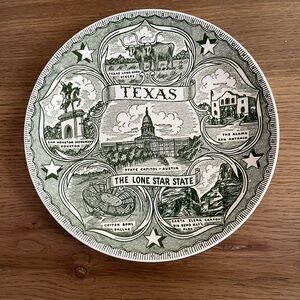 Texas Lone Star State plate